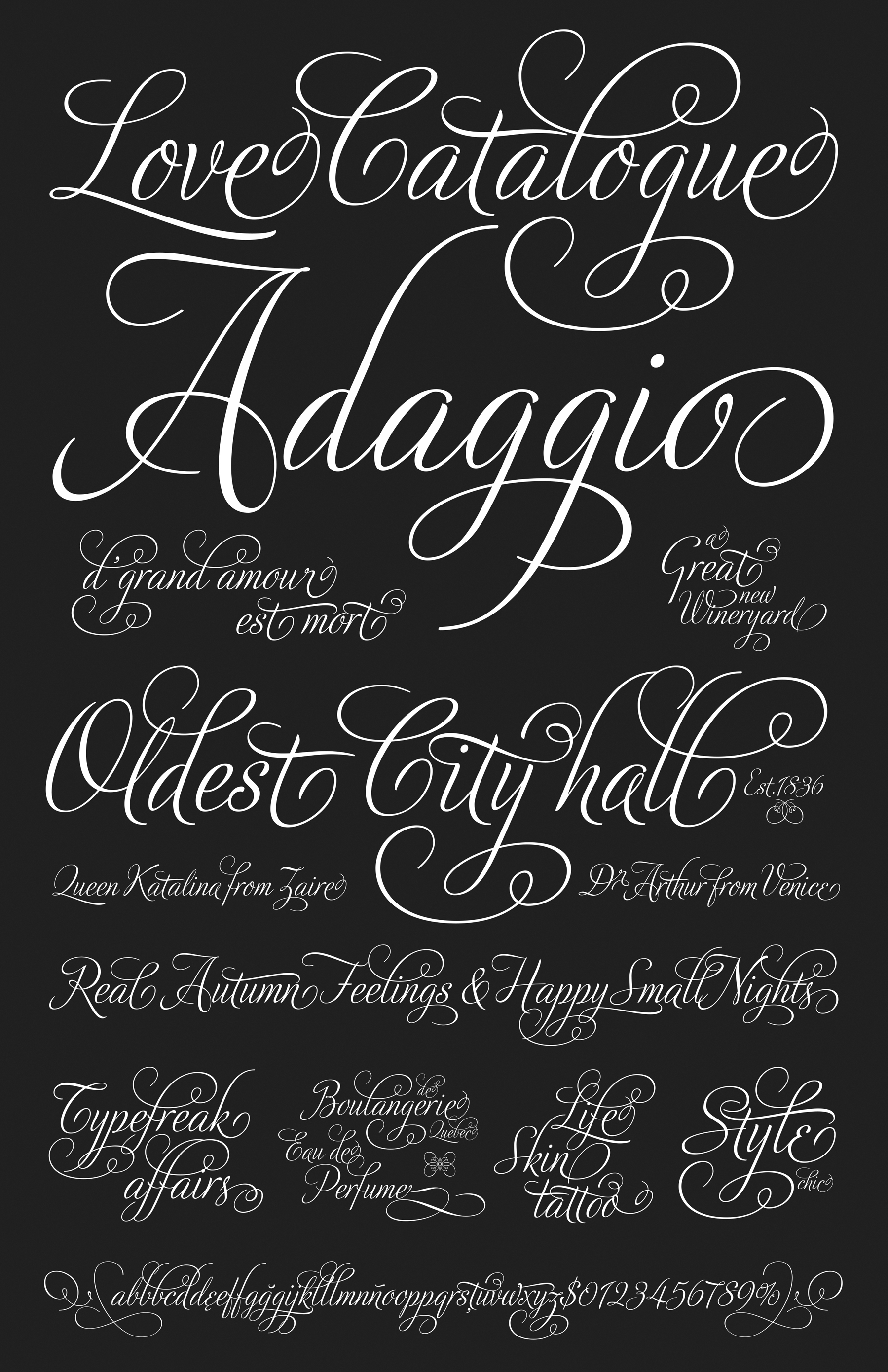 adios script font free